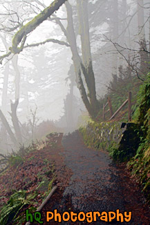 Foggy Trail painting