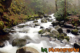 Multnomah Creek Streaming painting