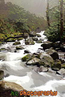 Multnomah Creek painting