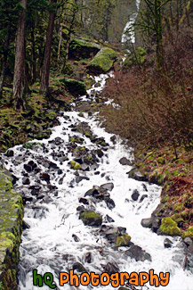 Wahkeena Falls painting