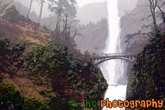 Multnomah Falls & Fog painting