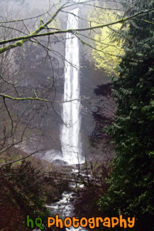 Latourell Falls, Bridge & Trees painting