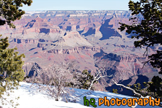 Grand Canyon Rim & Snow painting