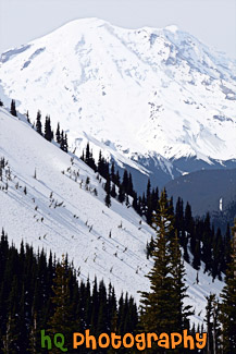 Mt. Rainier Close Up at Top of Crystal Mountain painting