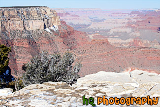 South Rim Grand Canyon View painting