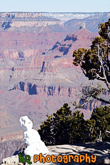 Snowman & Grand Canyon painting