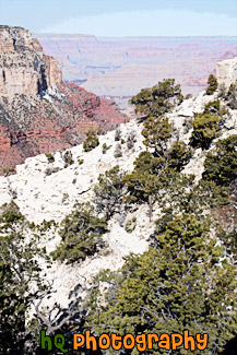 Grand Canyon National Park at South Rim painting