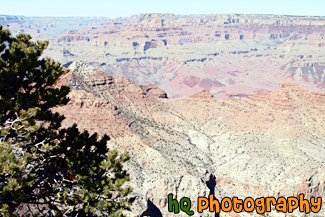 Grand Canyon & Desert View at South Rim painting