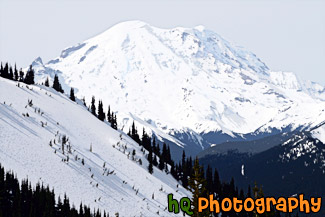 Mt. Rainier From Crystal Mountain painting