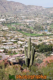 Camelback Mountain, Cactus, & Scottsdale painting