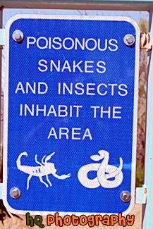 Poisonous Snakes & Insects Sign painting