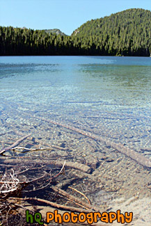 Mowich Lake & Clear Water painting