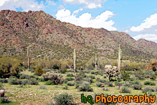 Arizona Landscape painting