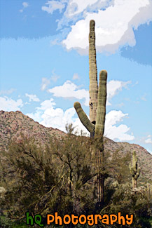 Saguaro Cactus painting