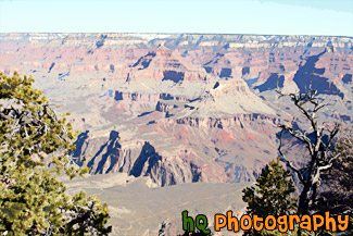 Grand Canyon View painting