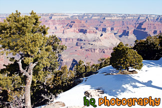 Grand Canyon Snow and View painting