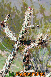 Cactus Plant Up Close painting