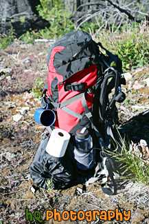 Hiking Backpack on Ground painting