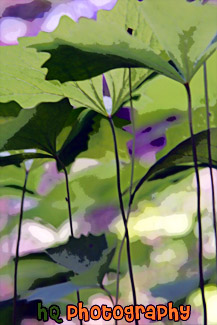 Looking Up at Big Leaves painting