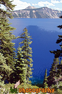 Crater Lake Through Trees painting