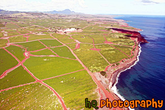 Kauai Aerial View painting