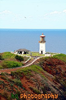 Kilauea Lighthouse painting