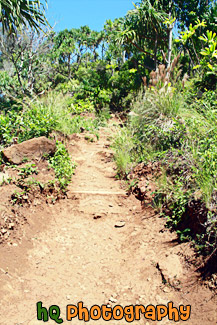 On the Kalalau Trail painting