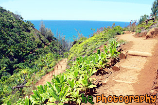 Kalalau Trail on Na Pali Coast painting