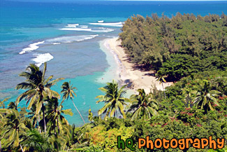 Ha'ena Beach View on Kalalua Trail painting