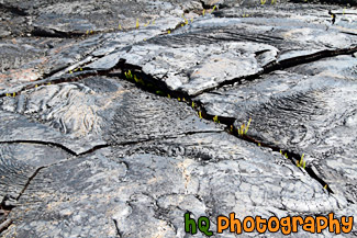 Lava Field Close Up painting