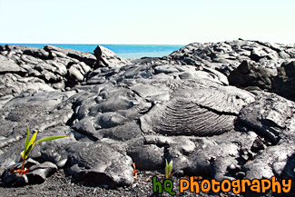 Lava Fields & Ocean painting