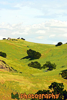 Green Hill & Scenic Sky Scene painting