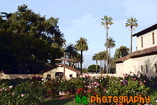 Beautiful Palms of Santa Clara University painting