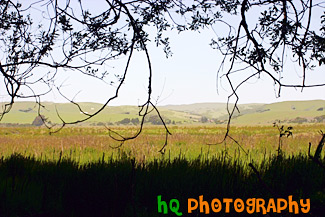 Point Reyes Landscape Scene painting