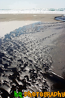 Kehoe Beach Sand & Waves painting