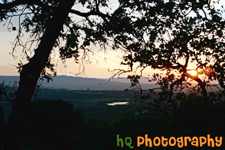 East San Jose Hill Sunset painting