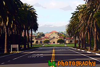 Stanford University from Palm Drive painting