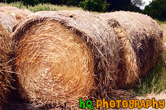 Bundles of Hay painting