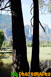 Yosemite Falls & Reflection Through Trees painting