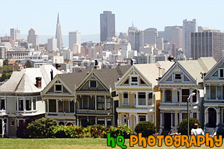 Alamo Square & San Francisco City View painting