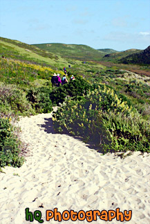 Hiking at Kehoe Beach, California painting