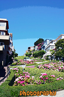 San Francisco's Lombard Street painting