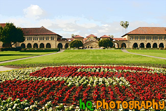 Stanford Oval & Memorial Court painting