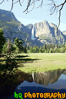 Yosemite Falls Reflection painting