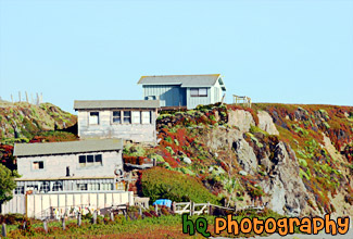 Three Coastal Houses on Hill painting