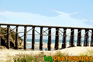 Coastal Fort Bragg, California painting