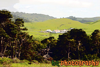 Farm in Marin County, California painting