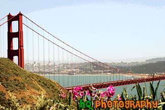 Golden Gate Bridge & Flowers painting