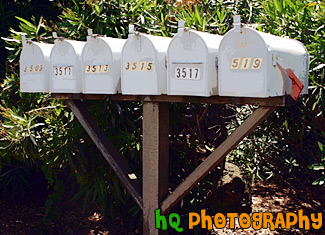 Mailboxes painting