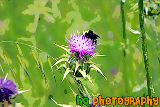 Bee on Winged Thistle Wildflower painting